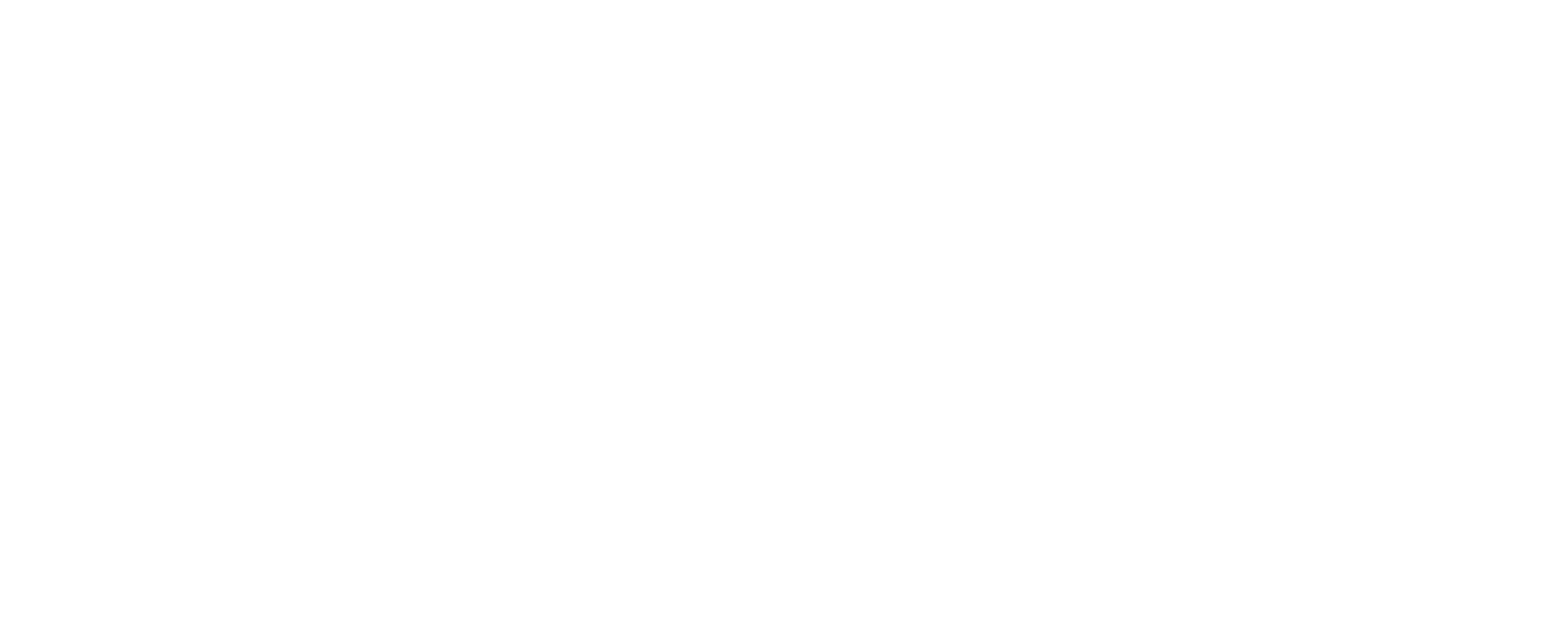 Prince Explorer